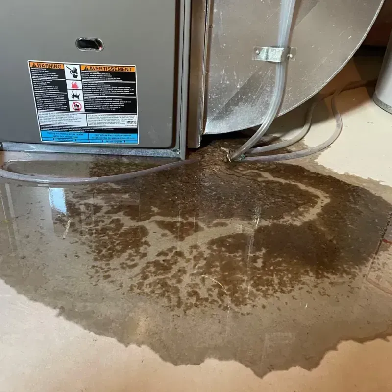 Appliance Leak Cleanup in Crawford County, MI